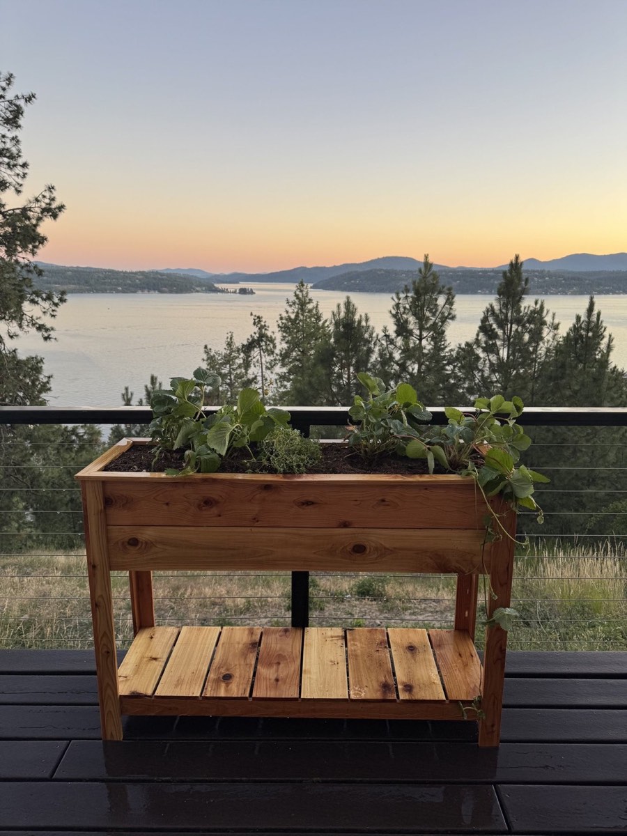 Cedar planter with a view